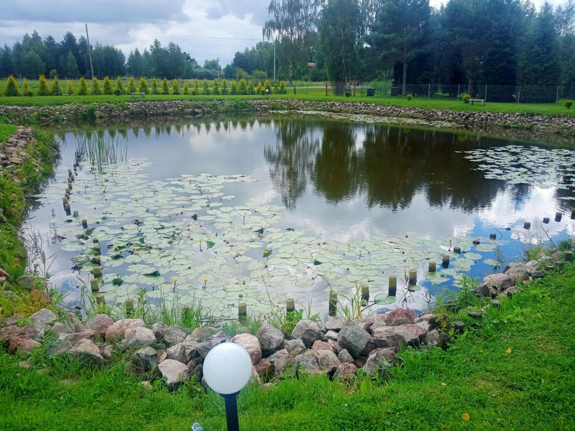 Domki Nad Stawem Stegna  Exteriör bild